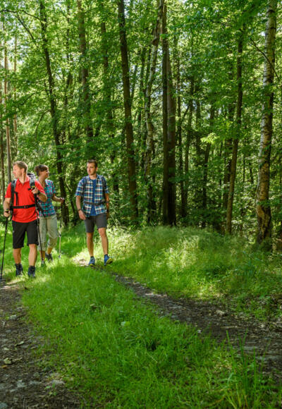 Wandern in Coburg.Rennsteig