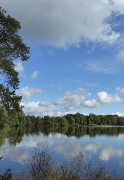 Charlottenhofer Weihergebiet - Hausweiher