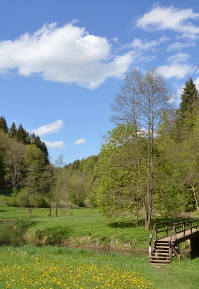 Wo das Wiesenttal ganz eng ist