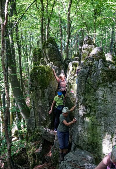 Die Kraxelstellen machen richtig Spaß