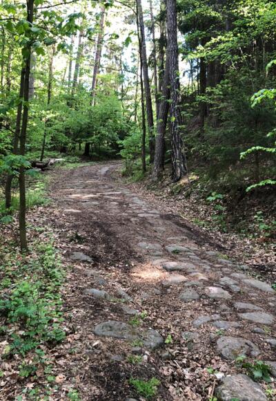 Die Alte Heeres- und Handelsstraße bei Weißenbrunn