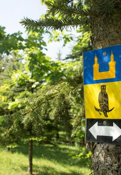 Landschaft bei Marktzeuln