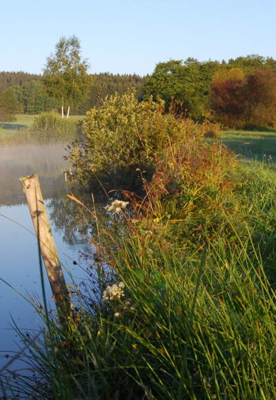 Naturschutzgebiet Muschwitztal