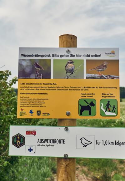 Umleitung Wiesenbrüter in der Teuschnitz-Aue