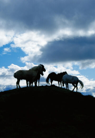 Griffel- und Tafelmacher Ludwigsstadt.