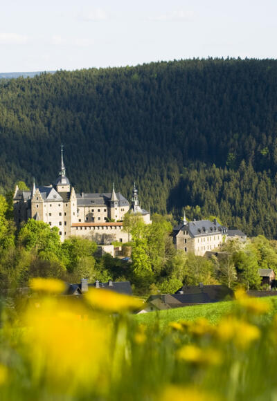 Blick auf Burg Lauenstein