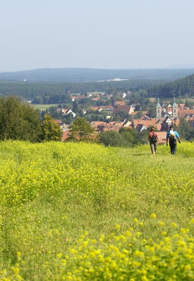 Wandern zwischen Rapsfeldern.