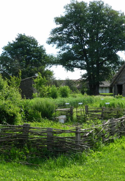 Der Vorgeschichtliche Garten im Geschichtsdorf Landersdorf