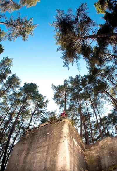 Wünderschöne Aussichten: Die Wernsbacher Steinbrüche, hohe Bäume und strahlend blauer Himmel.