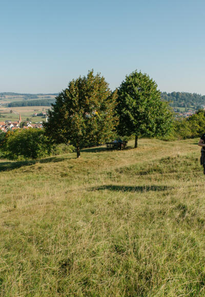 Wandern um Thalmässing