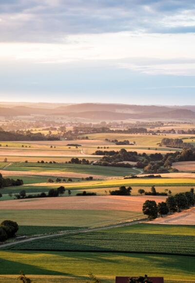 Blick auf das Laibstädter Umland