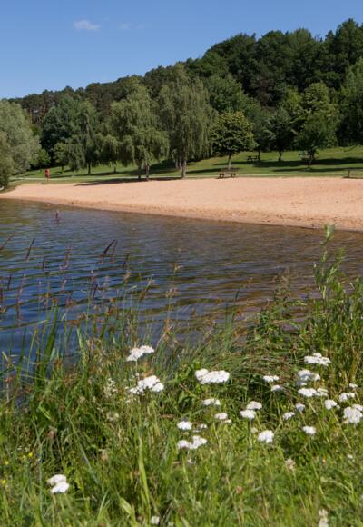 Ruhe findet man in der Blumenwiese am Igelsbachsee.