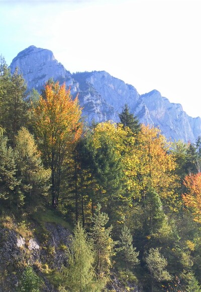 Alphorn von Unterjettenberg