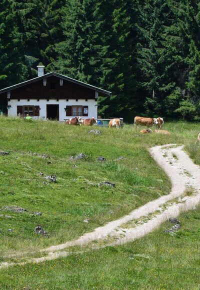 Egglerkaser auf der Anthauptenalm
