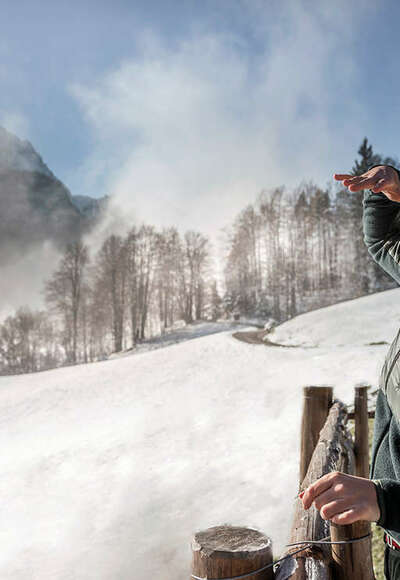 Glänzende Aussichten