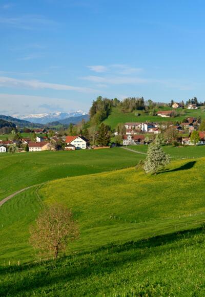 Blick von Vorholz auf Maierhöfen