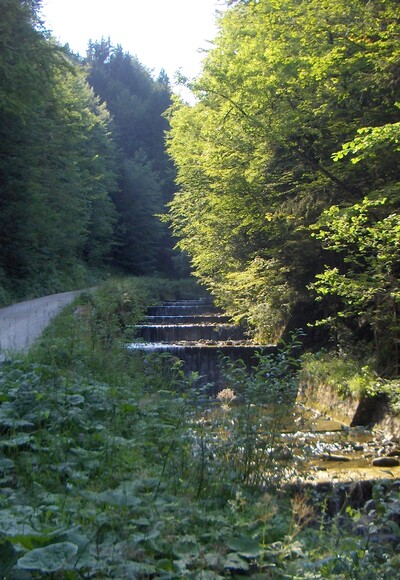 Entlang der Stoißer Ache.