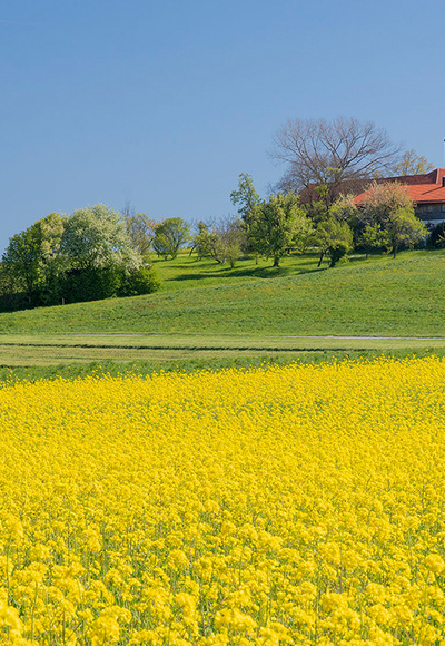 Steinhögl © RoHa Fotothek