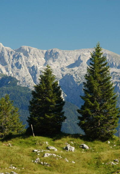 Blick vom Bannkopf zum Hohen Göll