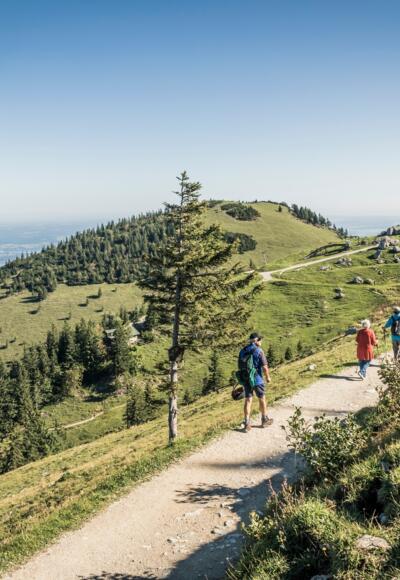 Panoramaweg zur Steinlingalm