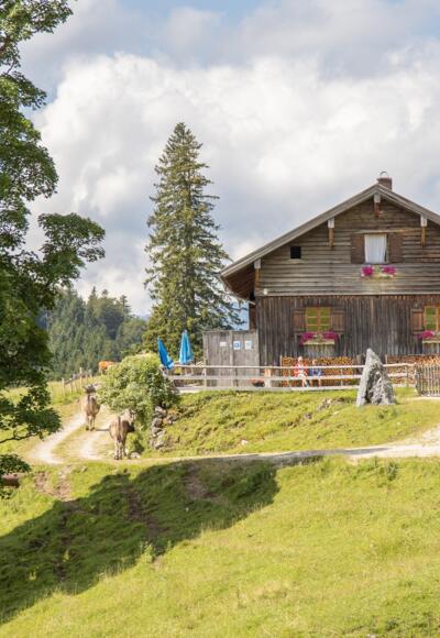 Bärenmoosalpe im Himmelreich am Kienberg