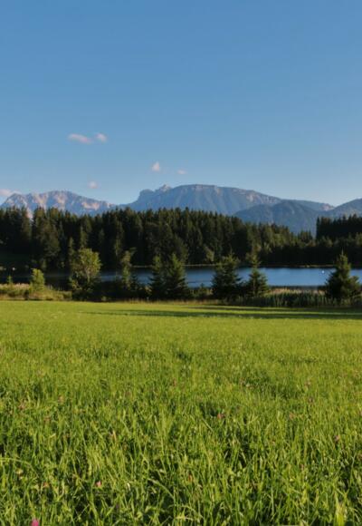 Der Kögelweiher mit Bergpanorama