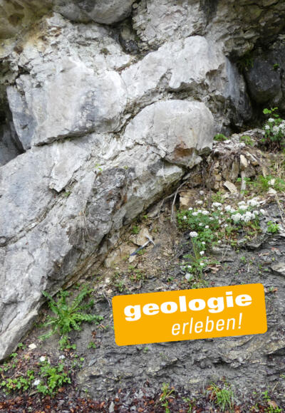 Alpiner Muschelkalk (links) - Überschiebungsbahn - Oberjura-Gesteine (rechts) 
