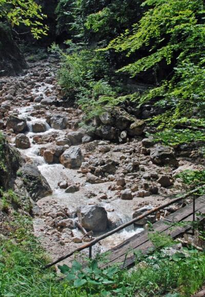 Auf dem Alpgartenrundweg