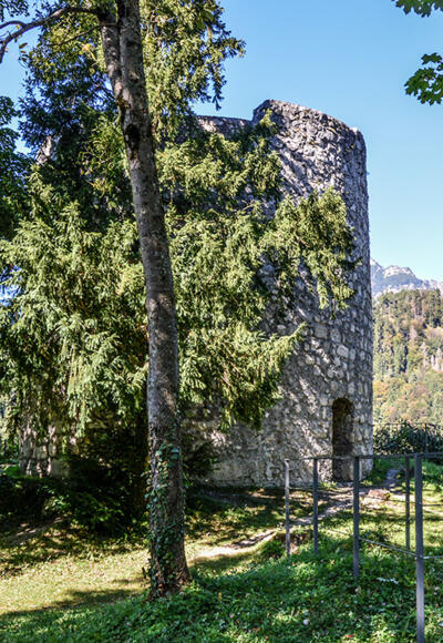 Die Burgruine Karlstein