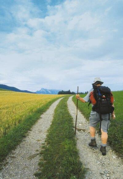 Am Jakobsweg von Eugendorf nach Salzburg