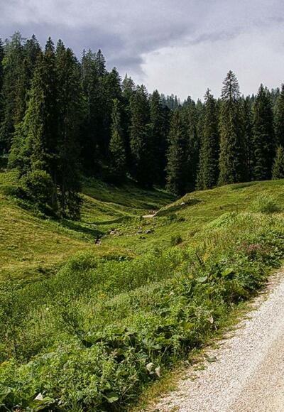 Auffahrt ins Lattengebirge