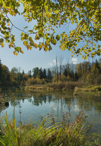 Durch die Saalachauen © RoHa Fotothek