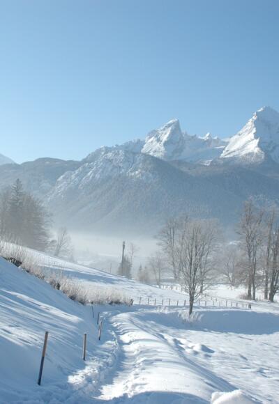 Blick auf den Watzmann