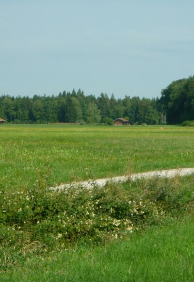 Blick ins Saaldorfer &quot;Moos&quot;