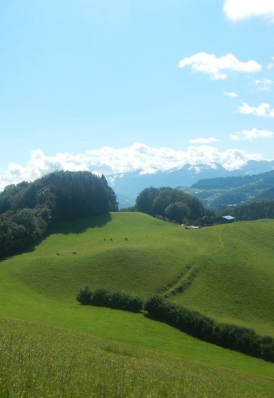 Herrliche Weide bei Marktschellenberg