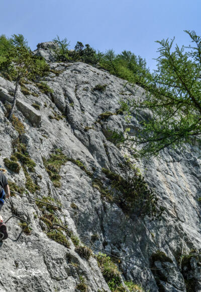 Schützensteig Jenner