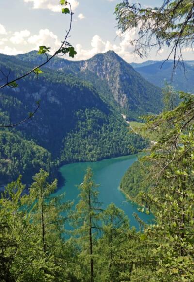 Blick auf den Königssee