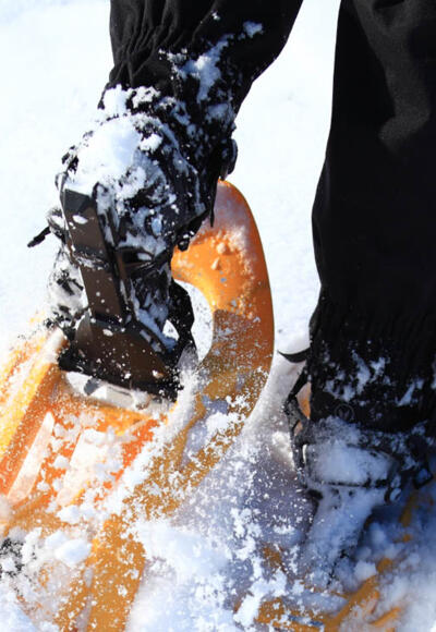 Schneeschuhwanderung durch winterliche Landschaft