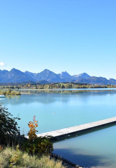Forggensee mit Steg und Berge im Hintergrund