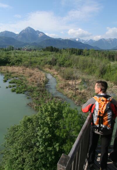 Vogelbeobachtungsturm Pflach