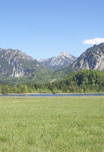 Der Schwanseepark mit Blick auf den Schwansee und Schloss Neuschwanstein