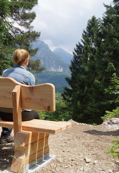 Blick in Richtung Schloss Neuschwanstein
