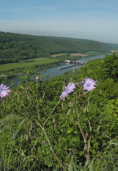 Blick von Ihrlerstein ins Altmühltal