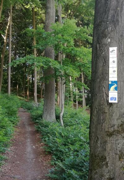 Auf dem Weg zum Aussichtspunkt Wieserkreuz