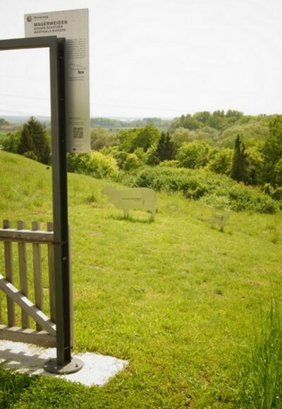 DonauPforte bei Eining