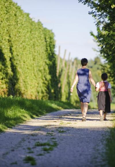 Wanderung auf dem Erlebnispfad Hopfen und Bier rund um Mainburg