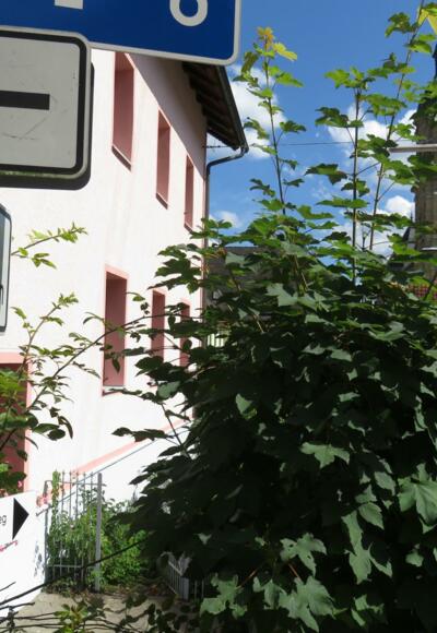 Start Richtung Basilika