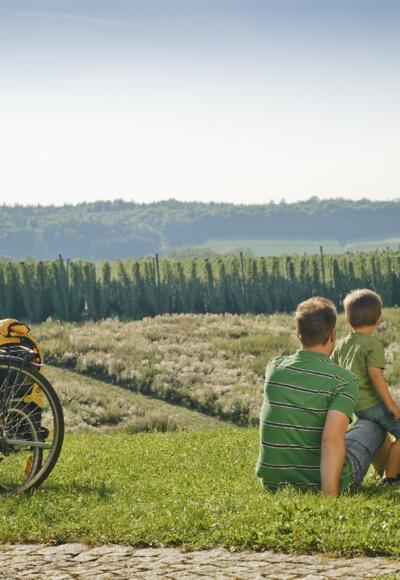 Rast im Hügelland der Hallertau