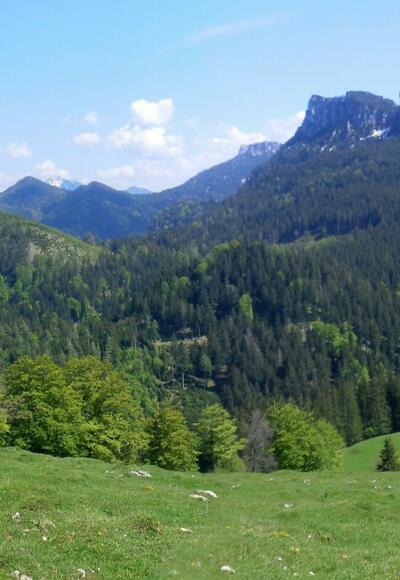 Schwarzenberg und Erlbergkopf links, Gedererwand rechts