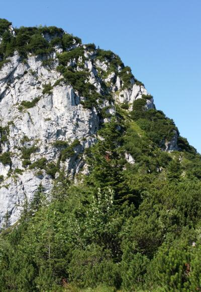 Durch die Rinne im rechten Teil der Wand führt der Steig